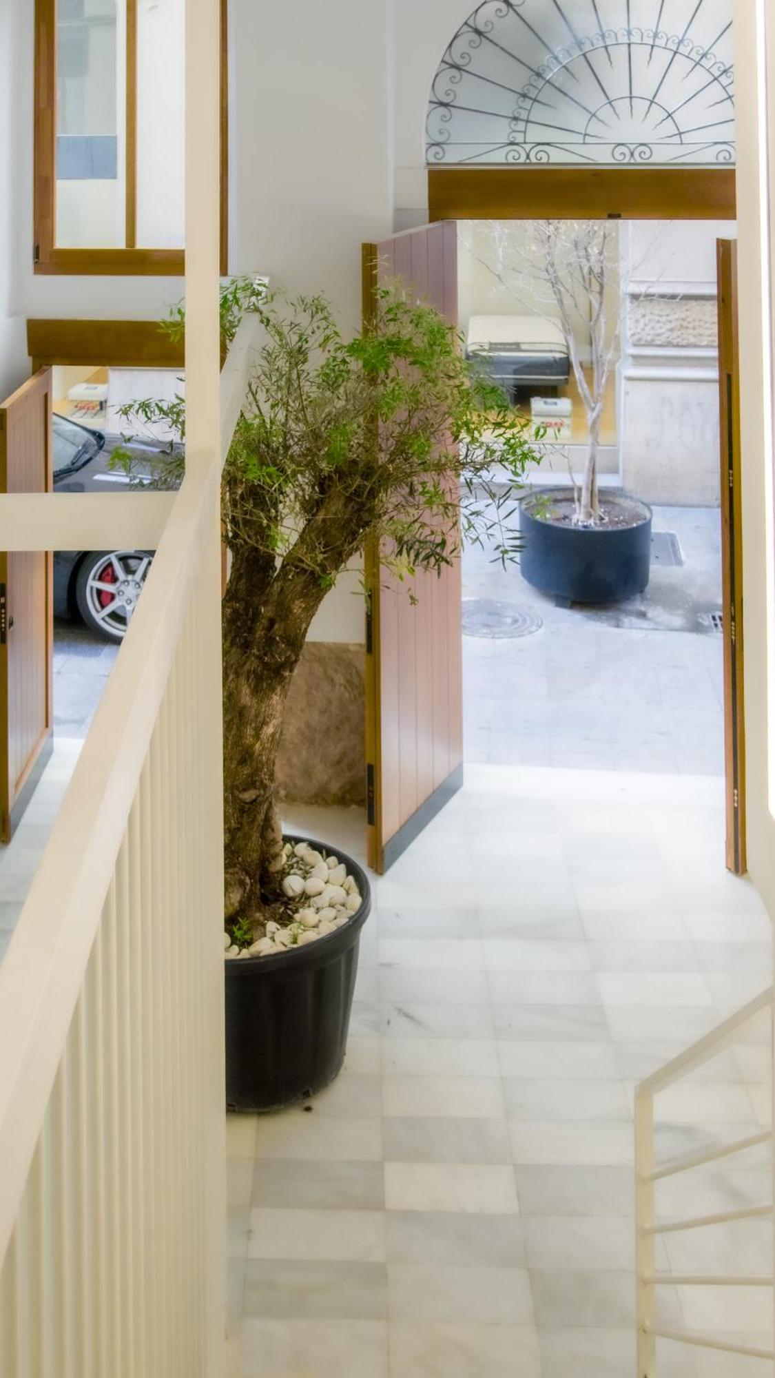 Catalina Suites Apartments Downtown 발렌시아 외부 사진